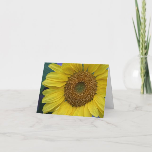 Carte Tournesol (Devant)
