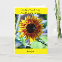 Tournesol brillant - Photographie florale