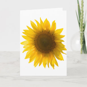 Carte Tournesol citation "Les fleurs sont du bonheur"