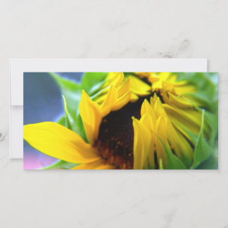 Carte Tournesol du Nouveau-Mexique