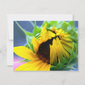 Carte Tournesol du Nouveau-Mexique