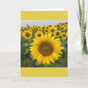 Carte Tournesol jaune