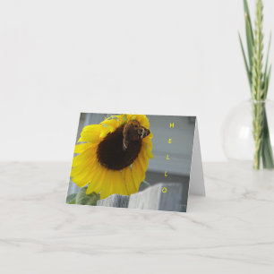 Carte Tournesol jaune avec papillon Buckeye