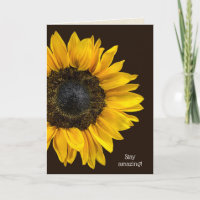 tournesol jaune pour anniversaire brun foncé