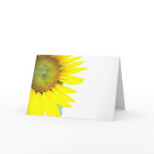 Tournesols de printemps
