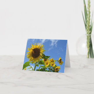 Carte Tournesols et papillons