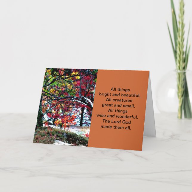 Carte Toutes les choses brillantes et belles (Devant)