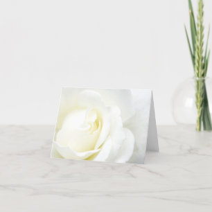 Carte Toutes les occasions White Rose