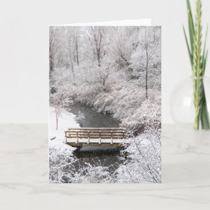 Carte Town Brook en janvier