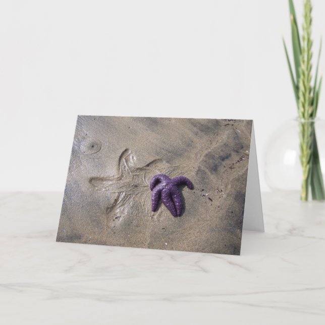 Carte Traces Starfish (Devant)