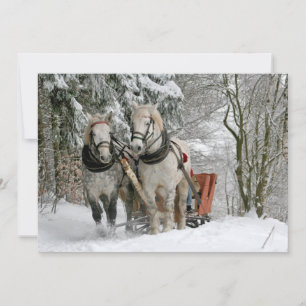 Carte traîneau+ride, neige, forêt, cheval, hiver, blanc,