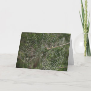 Carte Traitement Web