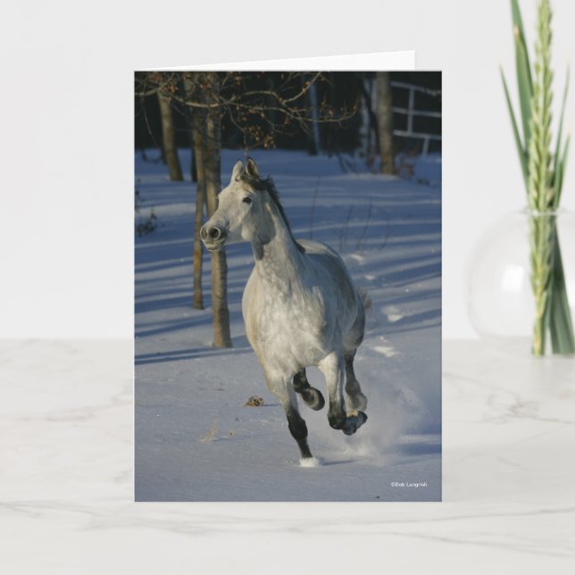 Carte Trakehner gris pomme courant dans la neige (Devant)