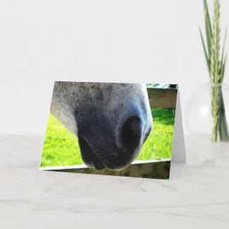 Carte Travail de nez