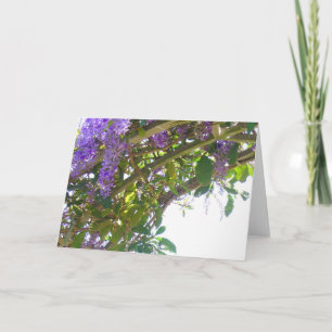 Carte Treillis royal