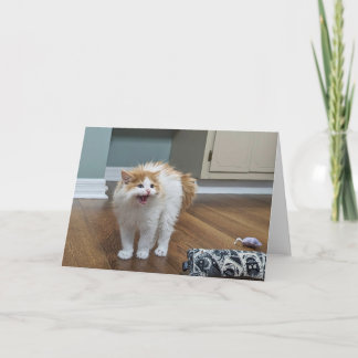 Carte "Très effrayant" - Dewey est tout recouvert de par