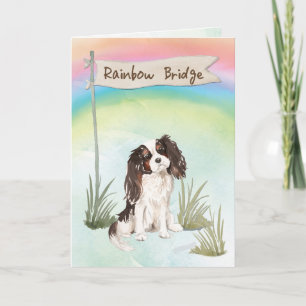 Carte Tri colour King Charles Spaniel Pet Sympathy