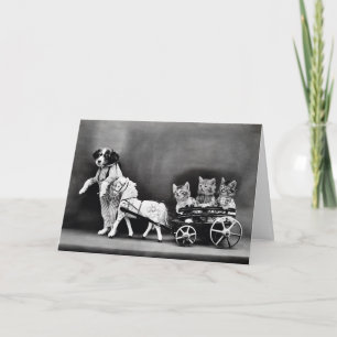 Carte Trier À Trois Chiens