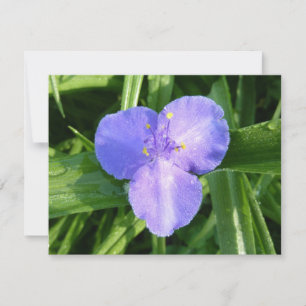Carte Trillium printanier humide fleur sauvage
