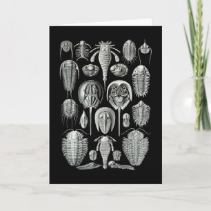Carte Trilobites and Sea Scorpions