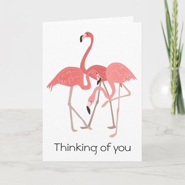 Carte Trio de Flamant rose pensant à vous (Devant)