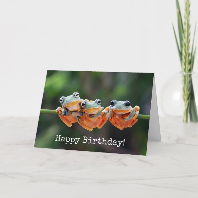 Carte Trio de grenouilles d'arbre - Anniversaire (Devant)