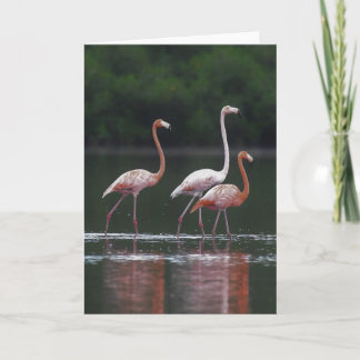 Carte Trio Flamant rose