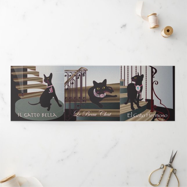 Carte triple Bella Cat 10-12 (Extérieur)