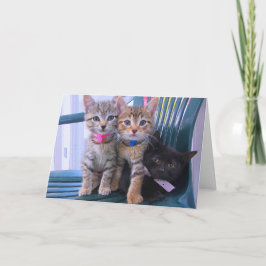 Carte Trois chatons