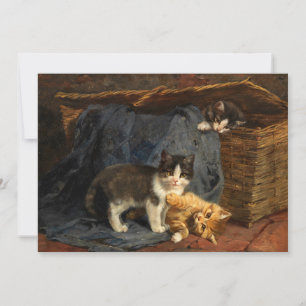 Carte Trois chatons   Julius Adam le Jeune