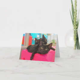 Carte Trois chatons noirs