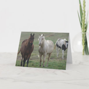 Carte Trois Chevaux amis pour toujours