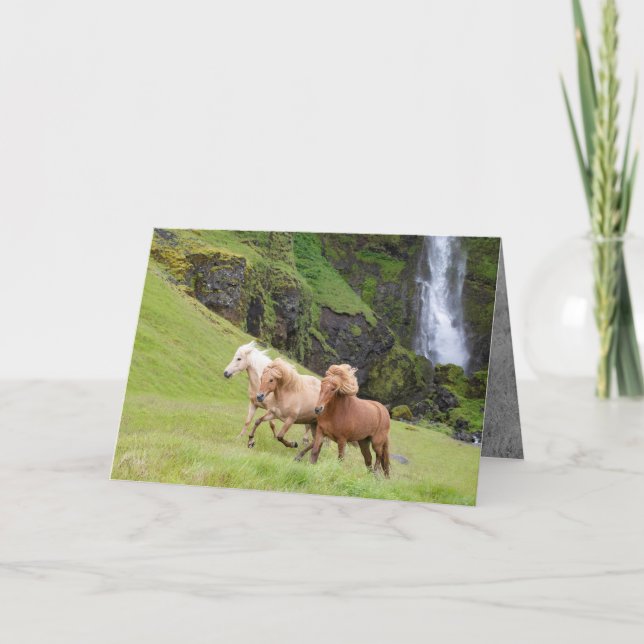 Carte Trois chevaux courent à la cascade Horse Greeting  (Devant)
