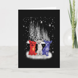 Carte Trois Chihuahua Neige Patriotique Américaine Noël