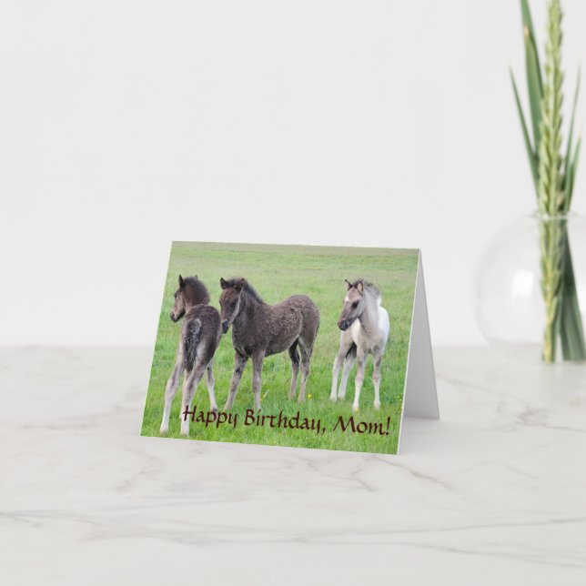 Carte Trois colts islandais. (Devant)