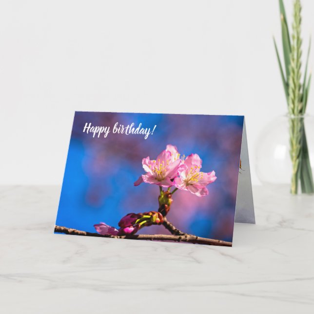 Carte Trois Fleurs De Sakura Au Soleil Le Printemps Enso (Devant)