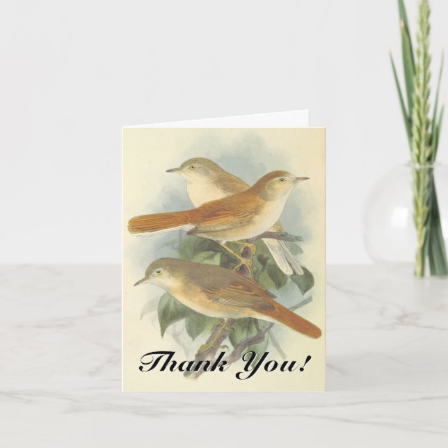 Carte Trois oiseaux sur une branche, "Merci !" (Devant)