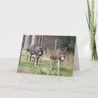 Carte Trois petits ânes.