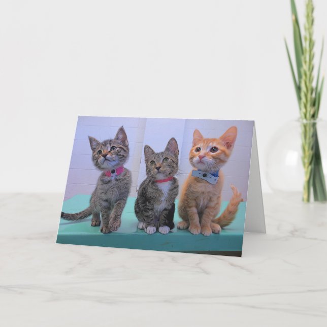 Carte Trois petits chatons (Devant)