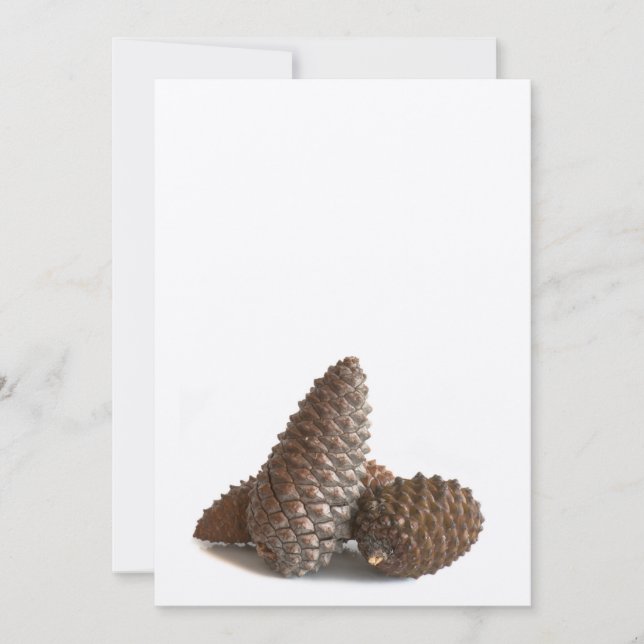 Carte Trois pinecones (Devant)