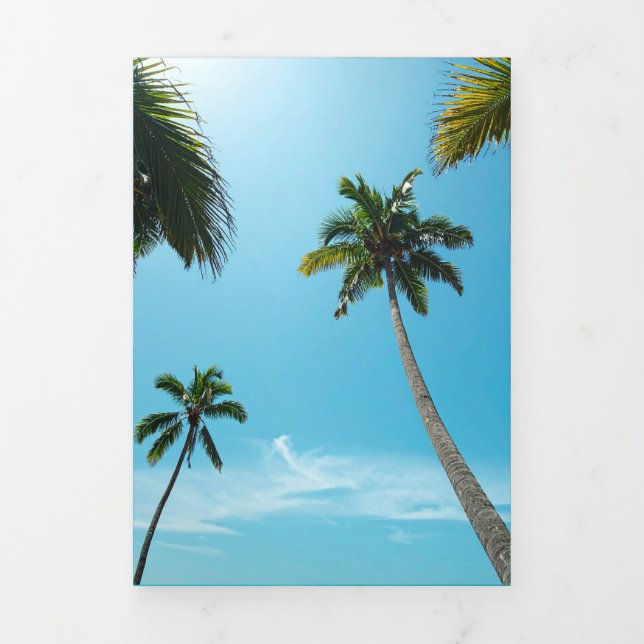 Carte Trois Volets beach palms (Page de couverture)