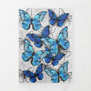 Carte Trois Volets Composition of White and Blue Butterflies