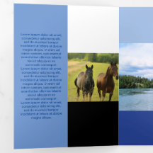 Couleur Bleue fraîchement carrée du code Qr