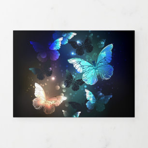 Carte Trois Volets Papillon de nuit