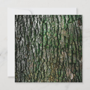 Carte Tronc d'arbre (écorce en bois)