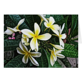 Carte tropicale de Plumeria