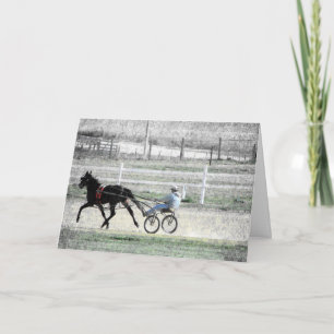 Carte Trot attelé, Anniversaire