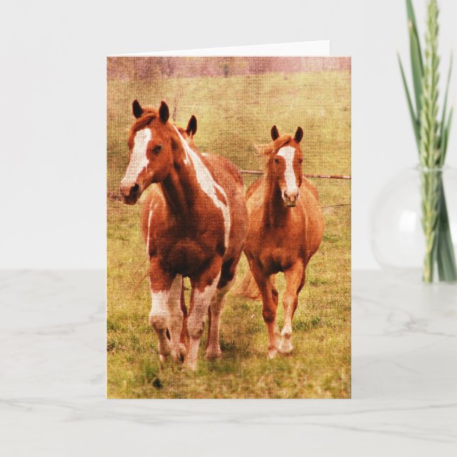 Carte Trot de chevaux (Devant)