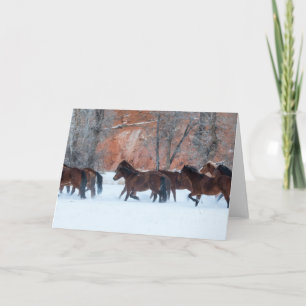 Carte Troupeau de chevaux qui courent dans la neige