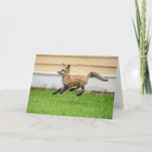 Carte Trousse Red Fox dans la vallée de l'Hudson
